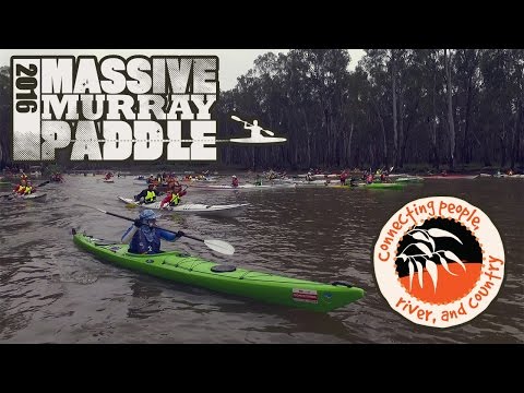 Massive Murray Paddle - MMP415
