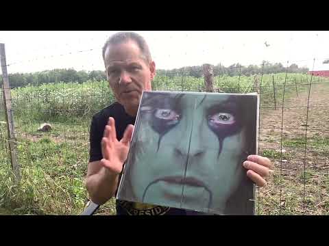 Some Great Vinyl Finds and one disappointment!