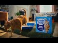 Fresh Step Commercial 2026