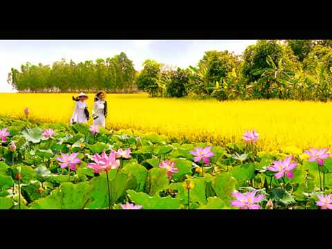Thể hiện bởi AC&M