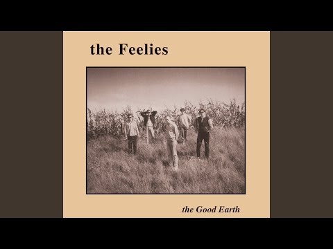 High Road - The Feelies