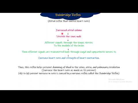 Bain Bridge Reflex. Chapter 18 part 9. Guyton and Hall Physiology.