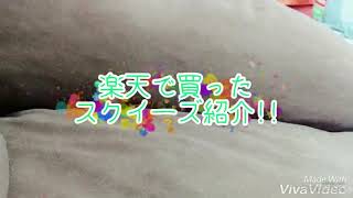 楽天で購入したスクイーズ紹介!!⚠️袋の音注意⚠