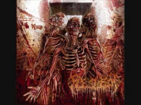 Fleshrot - Expanding The Void