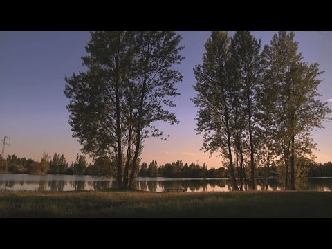 Le Désastre des Champs d'Iris (The Disaster of the Gladden Fields)