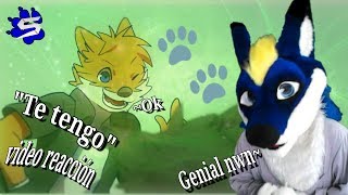 Jason chen =Té Tengo= ver  furry [Video Musical Reacción] -  Spike 796 HD