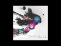 Transience - Shining Lights 