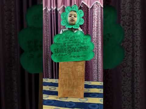 Vyanjan व से वृक्ष Jaankari with Saiansh 🌈 #saianshcc #saianshritu #shorts #reel #risingbachcha