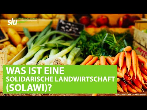 Was ist eine Solidarische Landwirtschaft (Solawi)?