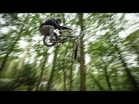 DIG TRAILS - Chasing That Buzz