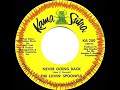 1968 Lovin’ Spoonful - Never Going Back (mono 45)