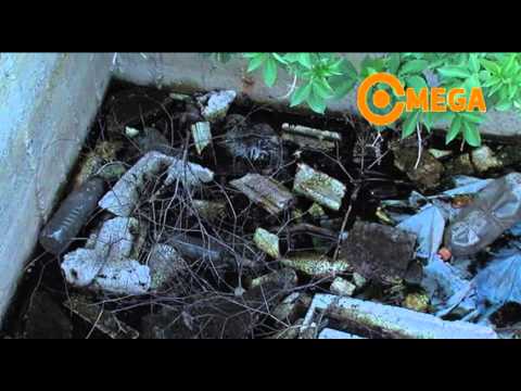 Tehéntetem a várpalotai kútban