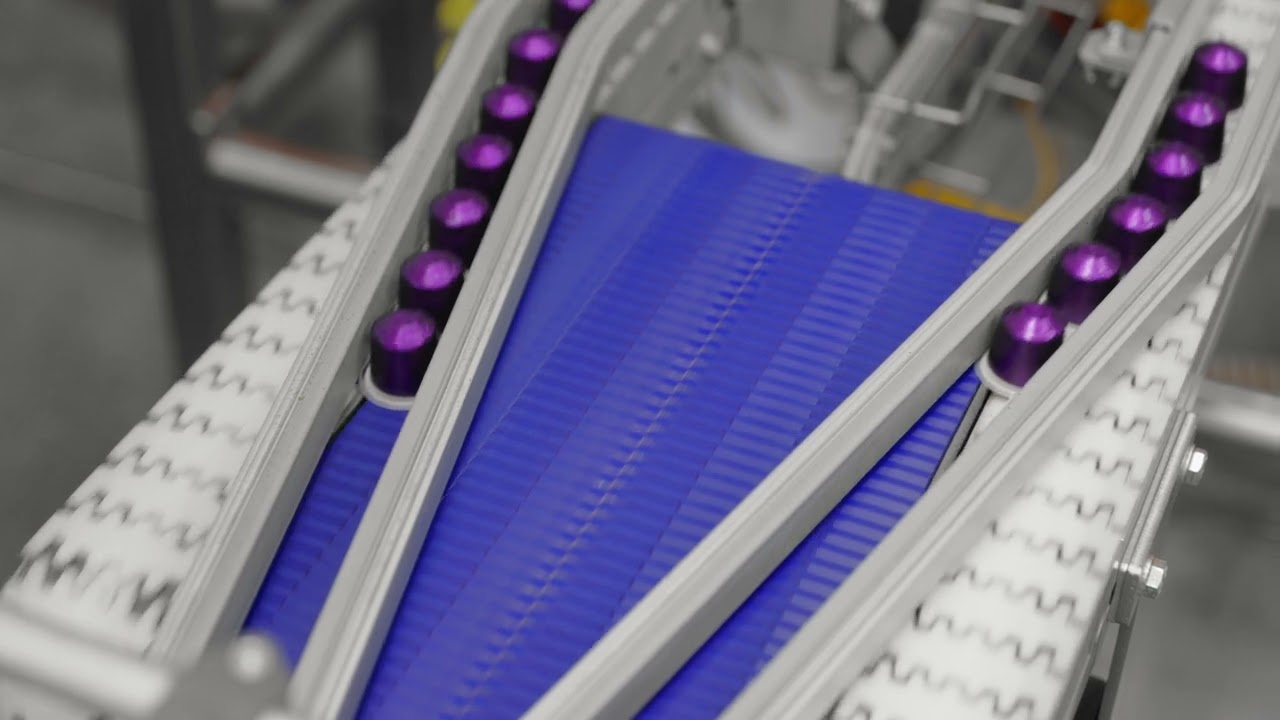 Immagine poster del video