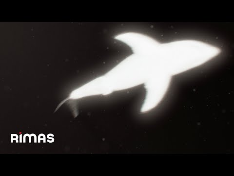 Yandel - Pa' Ti Full (Visualizer) / Infinito