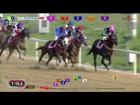 Korean Derby 2018 - Ecton Blade