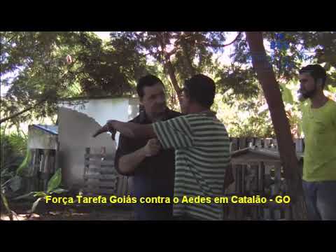 Goiás contra o Aedes   Catalão