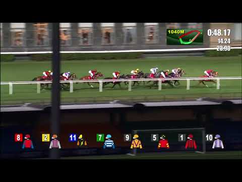 2018 January Cup  International Group 3 1800m