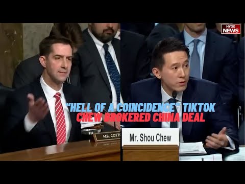 all companies being sued by FTC but Tiktok is not. “hell of a coincidence” Chew became TikTok CEO