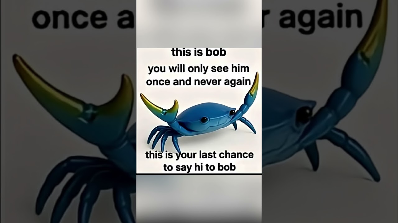 Say Hi to Bob🦀 #crab #bob #crabrave #shorts #meme