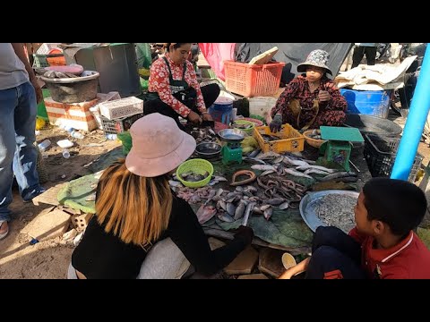 Cambodian Routine foods @ Psa wat pisou   Raw Meat, Fishes, Desserts, Vegetables, &More