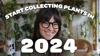 4 Reasons to Collect Houseplants in 2024 ✨