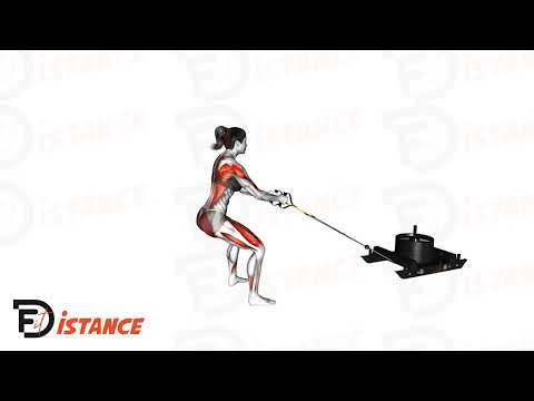 Exercice Tirage de traîneau (sled machine)