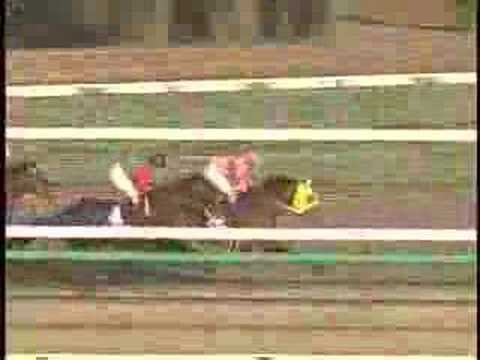 2005 Arima Kinen 有馬記念