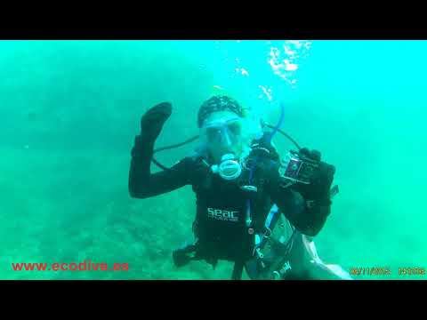 Peces Limon - Alboran Sea Hope Spot