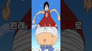 루피가 먹은 고무고무 열매의 가치를 계산해보겠습니다