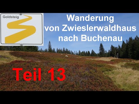 Goldsteig (13): Von Zwieslerwaldhaus über herrliche Schachten nach Buchenau