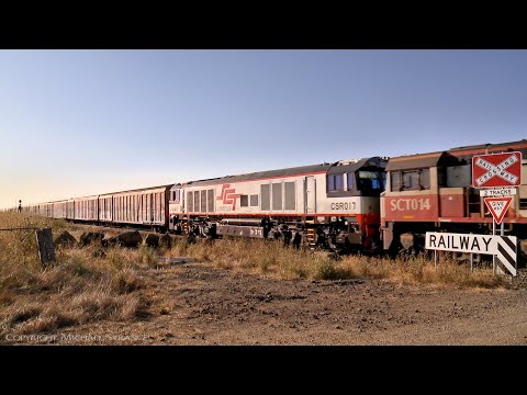 7AM9 SCT Mixed Freight Train With SCT009 SCT014 CSR017 (22/1/2022) - PoathTV Australian Railways