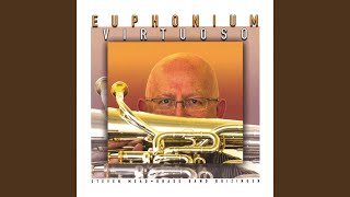 Euphonium Concerto, mvt. i - Moderato