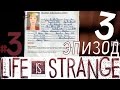3 /Секретные досье/ LIFE IS STRANGE episode 3 Теория Хаоса ...