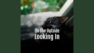 If You Want It, I&#39;ve Got It