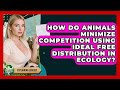 How Do Animals Minimize Competition Using Ideal Free Distribution In Ecology? - Explaining Ecology