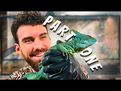 XXL Basilisk Paludarium | Assembling Tank & Background | Part One