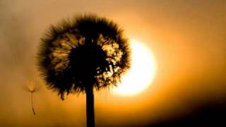 Even Now (a William Fitzsimmons song)