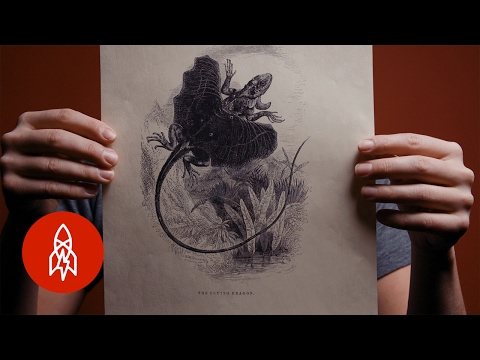 Enemies of House Targaryen Beware: Dragons Are Real!