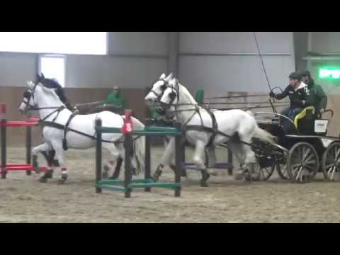 Fogathajtás, ifj. Dobrovitz József, Fedeles négyesfogat, Újhartyán, 2018., v181124-3-049