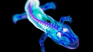 I Get A Good Feeling | Pretty Lights - Finally Moving Music Video Edit