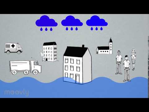 Die Weisheit der Vielen - Flutkatastrophe