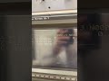 Riproduci video