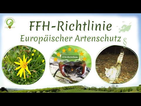 Die Fauna-Flora-Habitat-Richtlinie (FFH-RL): Einführung | Instrumente | Anhänge | FFH-Gebiete | Bsp.