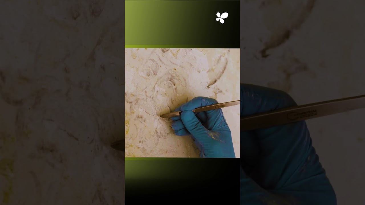 Renovation of the heritage and assets of the San Diego convent