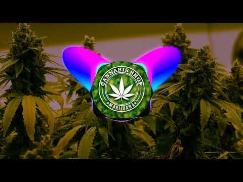 Cannabis  Killabone ft Ketane jordas [16eme armada]