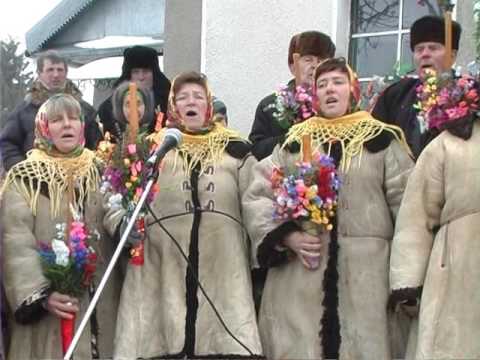 Vichne drevo Les Jabokruky 2012 02 16