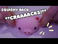 ASMR Squishy Tingle Appointment Back Cracks And Massage