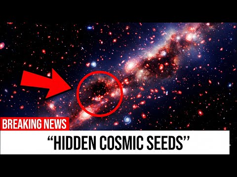 JWST’s “Little Red Dots” - How the First Supermassive Black Holes Really Started!!