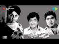Palunku Pathram Maane Pedamaane Song