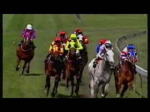 1993 Moir Stakes